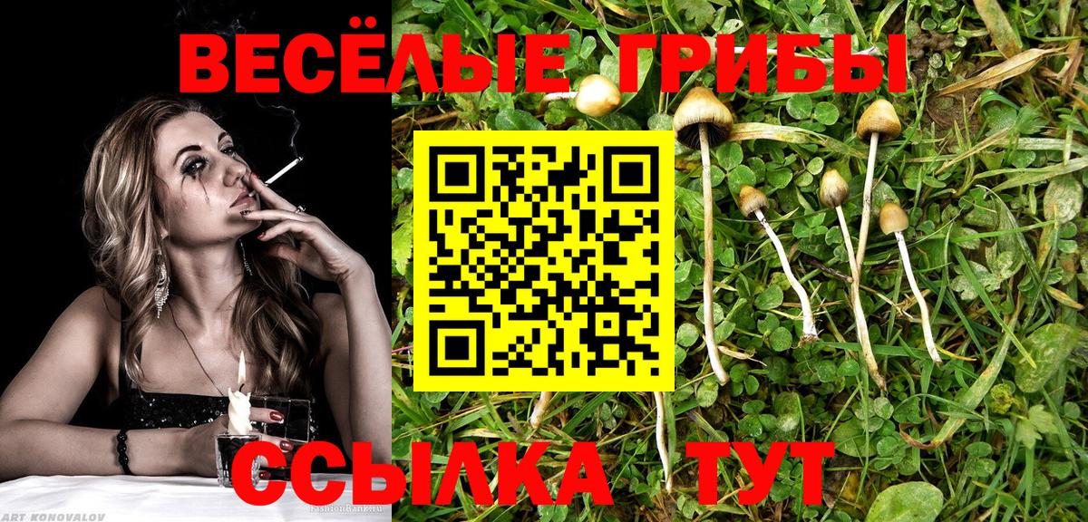 Псилоцибиновые грибы Psilocybine cubensis  Вход с VPN  Ржев  Псилоцибиновые грибы Cubensis 